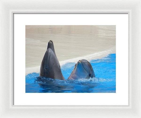 When Dolphins Dance - Framed Print